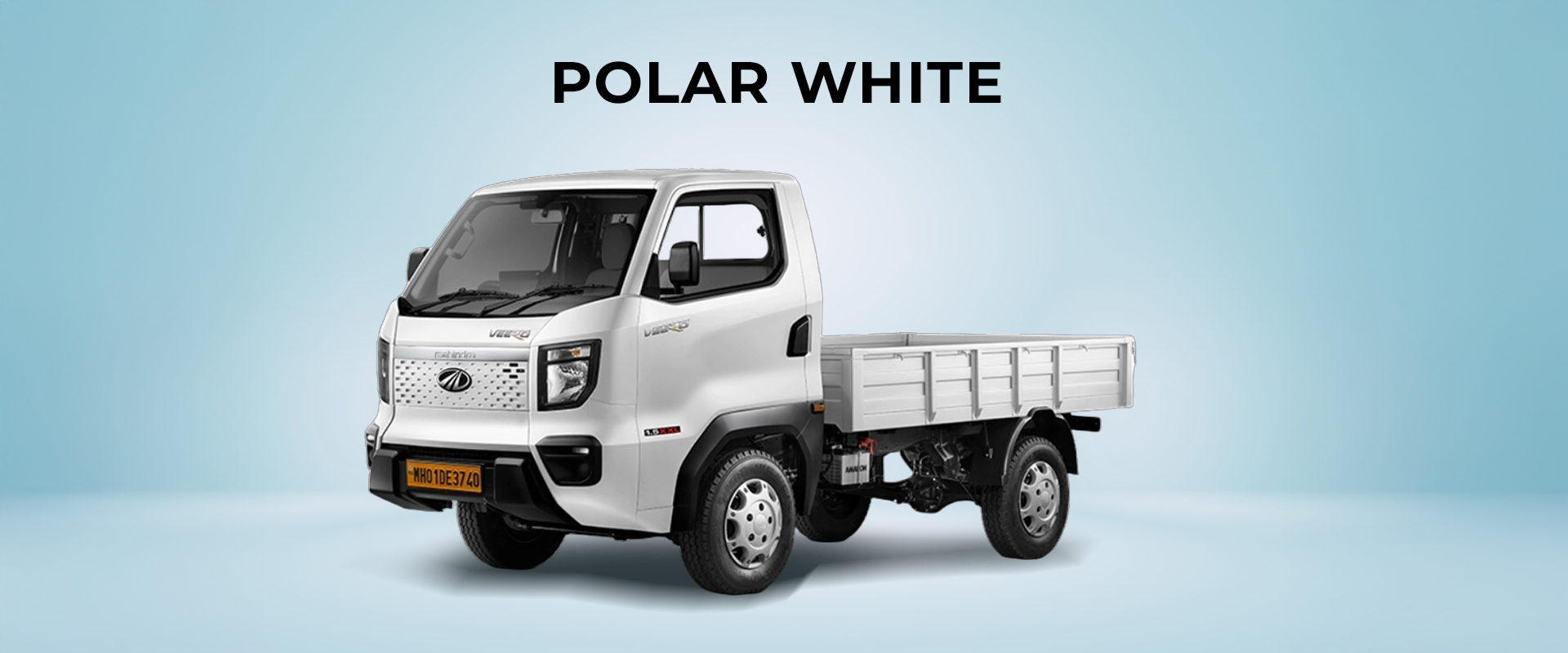 polar white